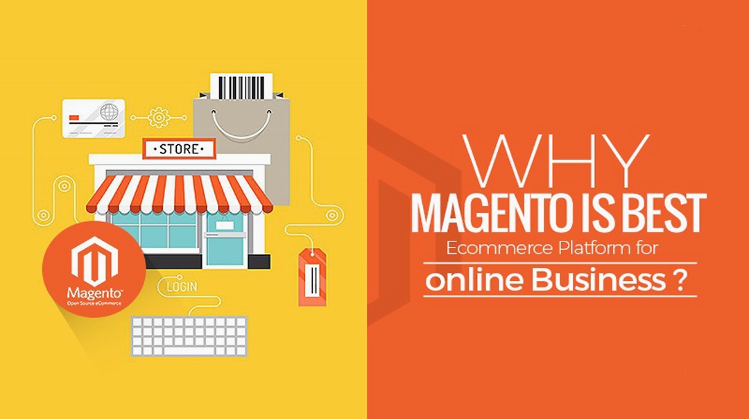 Magento Perfect Platform E-Commerce Business