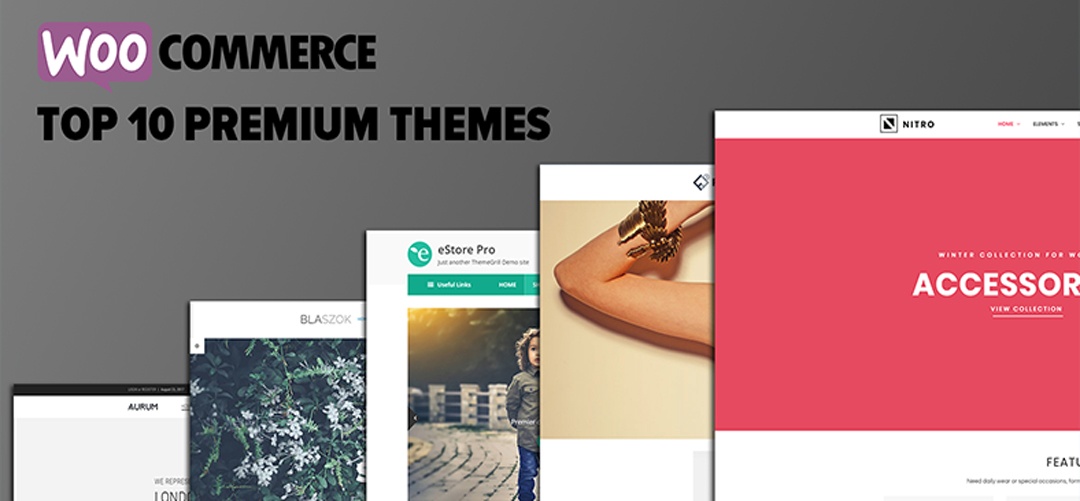 Premium WooCommerce Themes