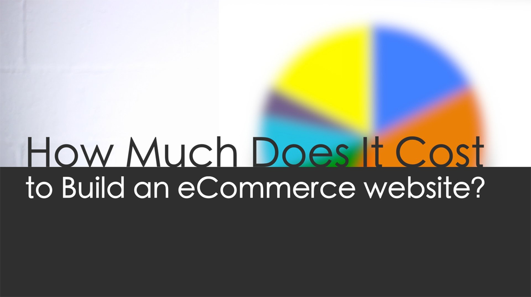 How Much Does an E-commerce Website Cost to Build
