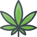 Medical Marijuana Web Design Company