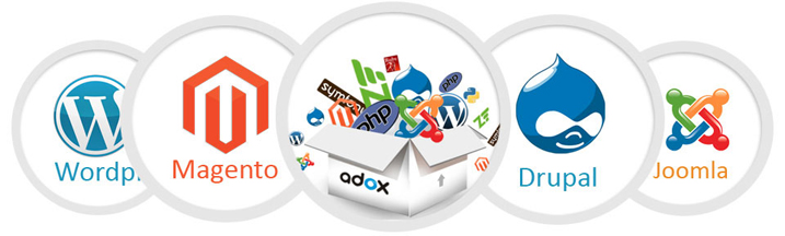 CMS Web Development